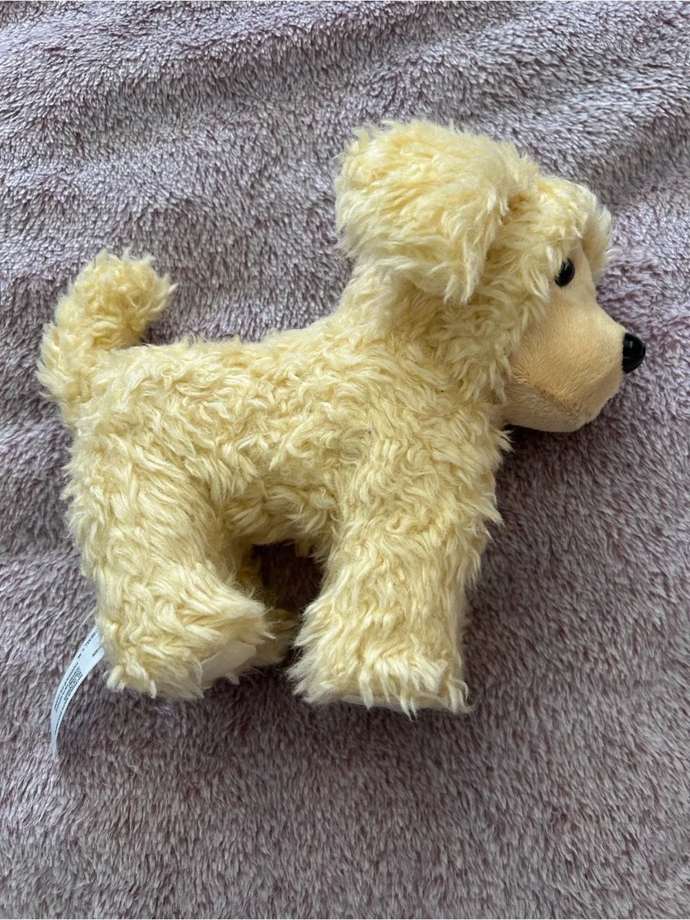 American Girl Apricot Poodle Puppy, retired poseable pet plush